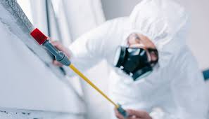 Best Pest Control for Multi-Family Homes  in Raeford, NC